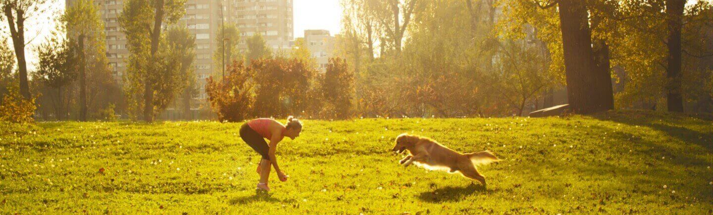 Woman playing with dog in a park