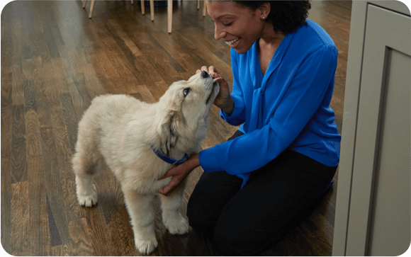 A woman pets her happy dog on the floor