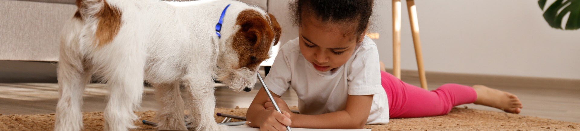 A little girl does homework on the floor while her small dogs watches