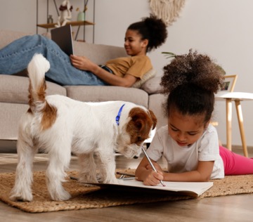 A little girl does homework on the floor while her small dogs watches
