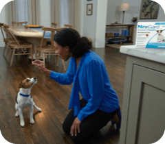 A woman giving her dog NexGard