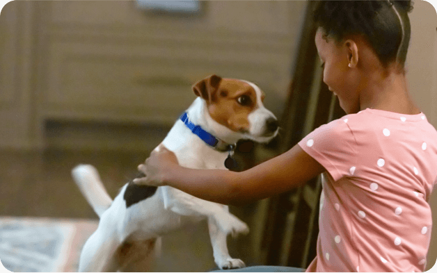 A girl plays with her small dog