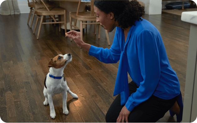 A woman gives her dog NexGard