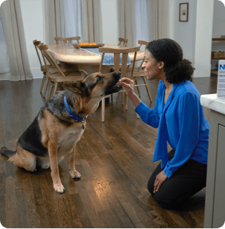 A woman gives her dog NexGard