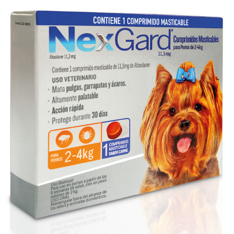 Nexgard 2-4 kg