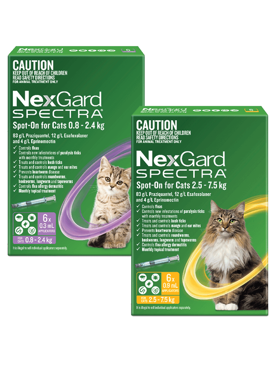 NexGard Spectra for Cats