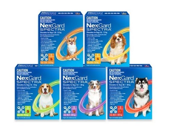 NexGard Spectra for Dogs