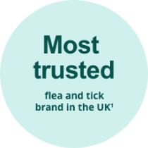 Most Trusted